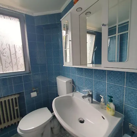 Rum i privatbostad Zentrales, Charmantes Direkt An Der Universitaetsklinik Mainz