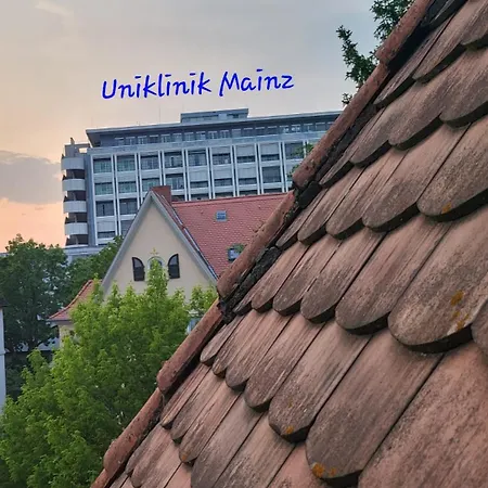 Zentrales, Charmantes Direkt An Der Universitätsklinik Privatunterkunft Mainz