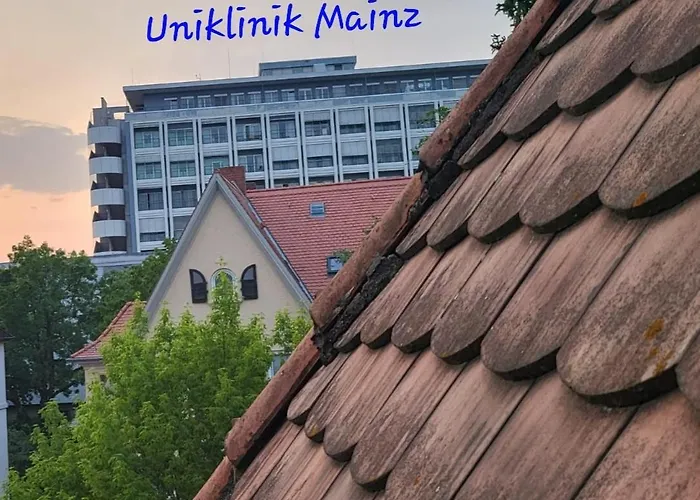 Zentrales, Charmantes Direkt An Der Universitaetsklinik Homestay szállás Mainz